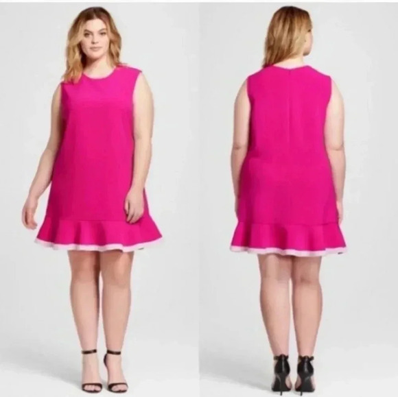 Victoria Beckham for Target Pink Sleeveless Drop Waist Ruffle Hem Dress(3X) - Picture 1 of 11